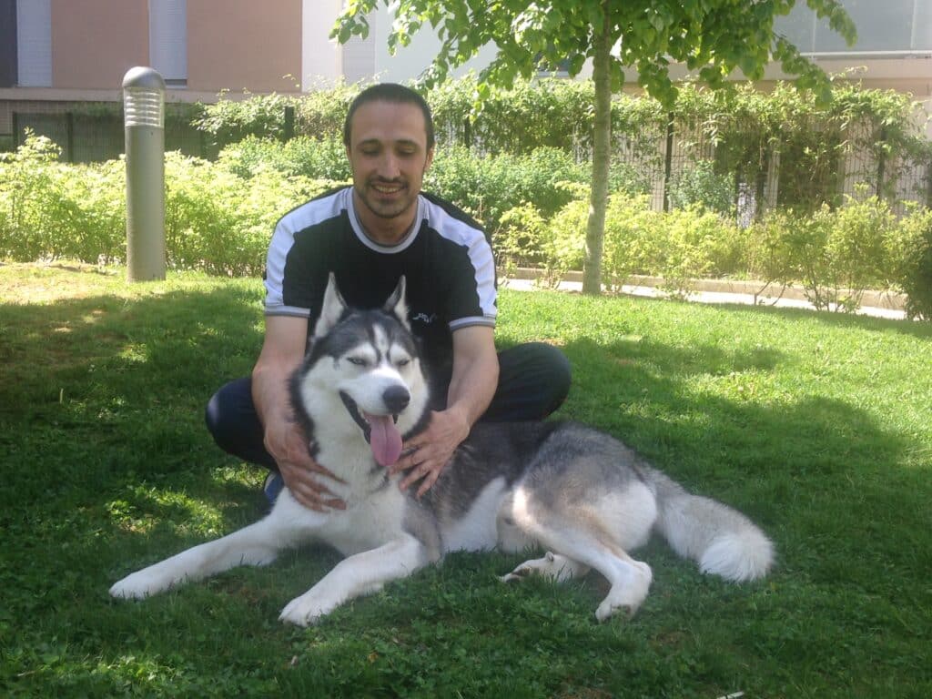 comportementaliste canin